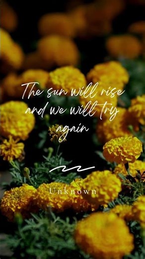 The 8 Words That Will Change Your Entire Week. 🌻