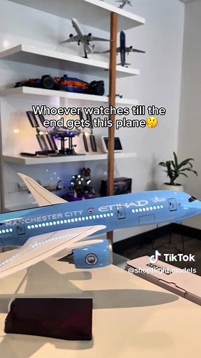 Shop Flight Models on TikTok