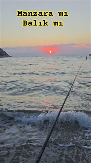 sizce hangisi?... #fishing