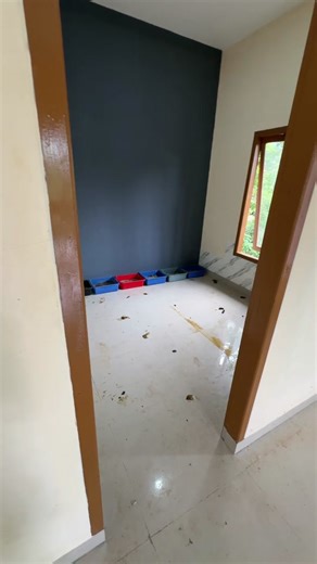 Tips Merawat Kucing dan Bersihkan Rumah Anabul