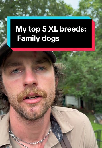 Best XL Dog Breeds for Families: Top 5 Extra Large Family Dogs