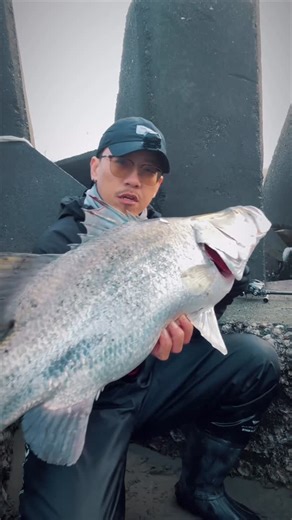 鵝大人 on Instagram: "重槍瞄準金目得逞！ -重劍7112H -shimano 25 Antares mgl -BX8 1.5+6+15 -HR slowdeep3 40克 @shimanofishing_tw @black_ops_off_record @heartyrise_tw"