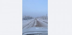 Wolf pack on N.W.T. road