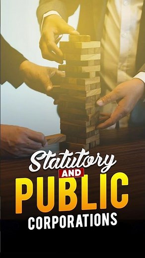 Governance in Statutory and Public Corporations #magnetbrains #ytshorts #corporations