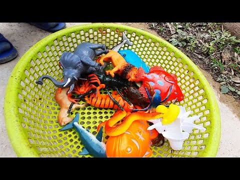 Search and learn the names of toy animals | Hunting animal toys