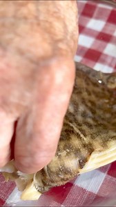 Insalata di pesce razza La razza è un pesce dalle carni molto magre e dal sapore delicato, perfetto per essere servito come antipasto o come secondo. Oggi ho fatto una semplice e veloce insalata dal sapore un po’ agrodolce da servire come antipasto. Ingredienti per 2 persone: * Ali di pesce razza, 300g; * Prezzemolo, 1 ciuffo; * Limone, 1; * Olio EVO, q.b.; * Sale, q.b �Preparazione:�Portare a bollore dell’acqua e aggiungere mezzo limone e il sale, poi mettere nella pentola le ali di razza e far