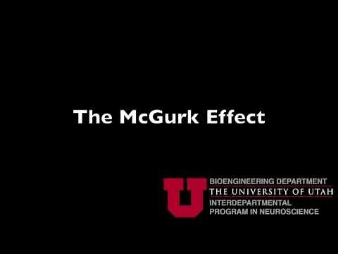 The McGurk Effect