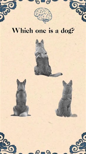 Intuition Test: Trust Your Gut Instincts