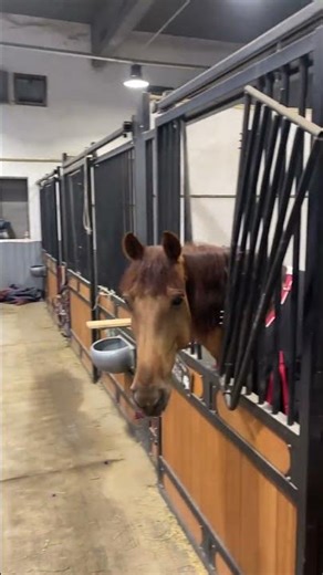 The Transformative Power of a OCD Coach: A Real-Life Insight