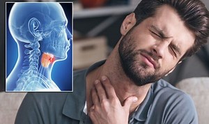 Dr Sara Kayat discusses ants that can smell cancer