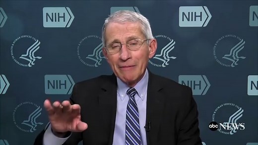 Coronavirus daily update: April 20, 2020