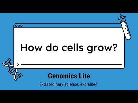 Genomics Lite: How do cells grow?