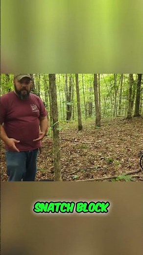 Tree Removal Secrets: Master Line Kit & Snatch Block! #shorts