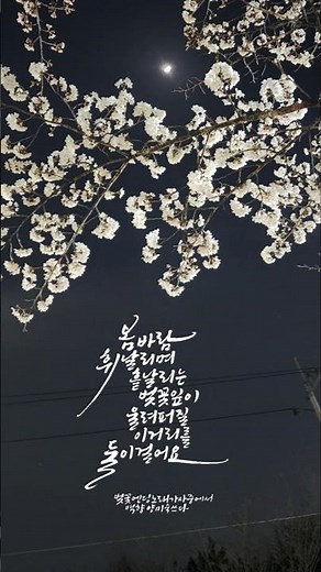 벚꽃 엔딩 노래가사 / 버스커버스커 / 백향캘리그라피