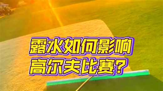 高尔夫球场的维护工作