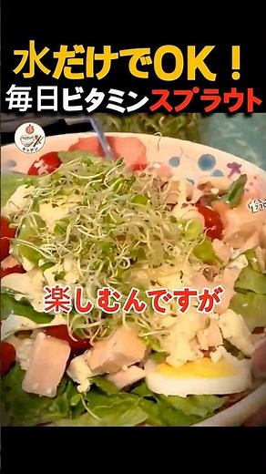 【5日で収穫】水だけで栄養40倍！家で野菜を無限に育てる方法🌱