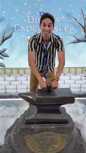 I PULLED THE SWORD FROM THE STONE
