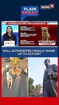 Supreme Court Upholds Stray Dog Removal Order Amidst Outrage and Accountability Demands