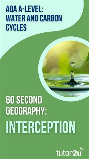 60 Second Geography | AQA A-Level Geography | Interception (Water and Carbon Cycles 5)