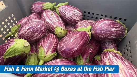 Visit the Fish & Farm Market, in partnership with Mass Farmers Markets, at the Boxes at the Boston Fish Pier each Saturday from 11-3! | Port of Boston
