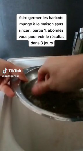 Faire Germer des Haricots Mungo: Guide Pratique