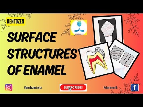 Enamel histology | Surface structures of Enamel | Perikymata | Imbrication lines