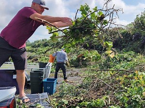 Cleanup continues in 'cyclonic' storm's aftermath in Chatham-Kent