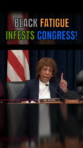 Black Democrats Pop Off And Make A MOCKERY Out Of Congress... | Conservative Twins