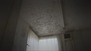 ‘People feel dehumanised’: social housing complaints rise 400%