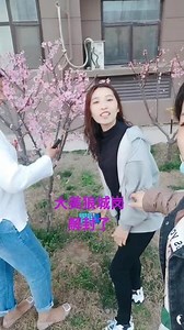 Wolf社区如何解封