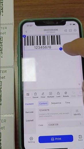 How do print small labels on the phone with the BEEPRT BY-480BT printer?