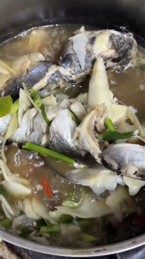 เมนูวันนี้ แกงปรากดใส่หน่อไม้ส้มจ้า😋😋 #ฟีด #food #thaifood #อาหาร #cooking #yummy