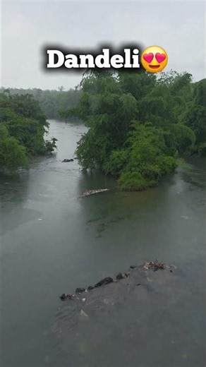 🌧️ Dandeli in the Rain ❤️When the rain touches the jungle, Dandeli becomes pure magic