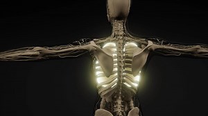 Human Lungs Radiology Exam