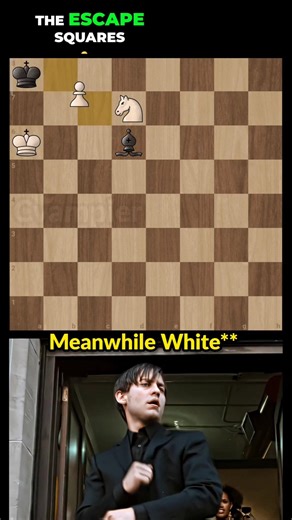 Brilliant Endgame tactics | Chess tactics #shorts #chess