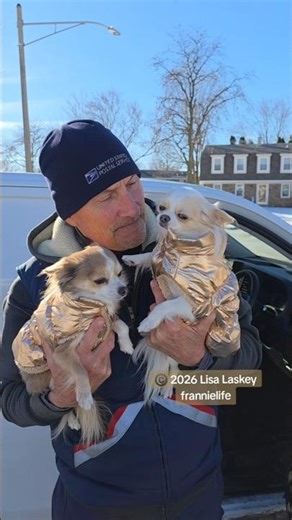 Unpredictable Gracie! 😆😆 #frannielife #postmandan #usps #frannieandthebeane #frandan #GracieBeane