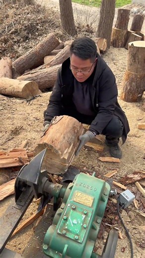 Effortless Wood Chopping: Home Electric Power Efficiency Revolution
