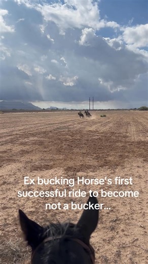 More of “Conagher” on his first successful ride as a non saddle bronc. We had to get him over the fear of riding- this is just his START. We have so much more to go but this is a major step forward. #davishorses #bravery #coltstarting | Davis Horses
