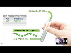 La découverte du code génétique