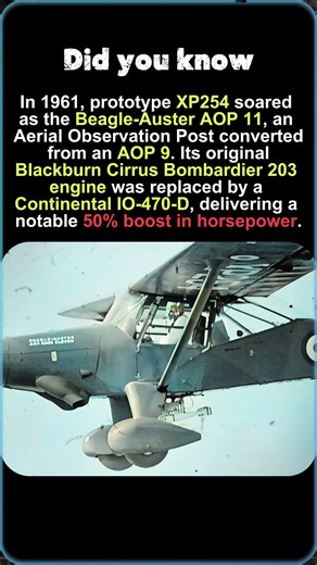 Beagle-Auster AOP 11: 50% More Power!