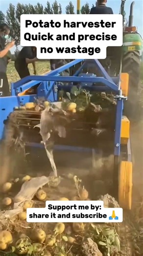 Potato Harvesting Machine: Fast & Precise Potato Digging Technology Explained #farming #agritech