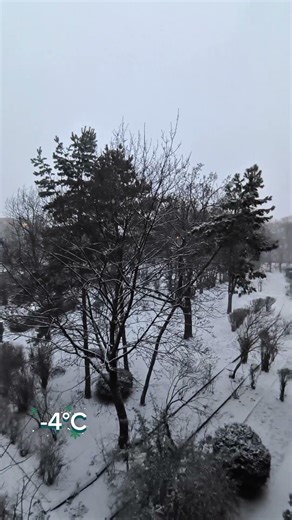 Cold Evening Snow Outside My Window ❄️ - 4°C