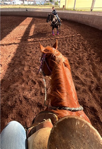 Video de xim (@ximeequintero_) relacionado con “fuego en la sangre”