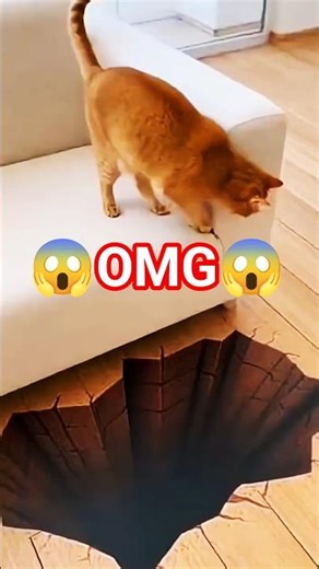⚠️ YOU WON'T BELIEVE How This Cat REACTED To A FAKE HOLE! 🙀🕳️