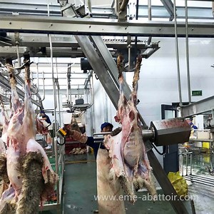 [Hot Item] Sheep Slaughterhouse Skin Puller Abattoir Equipment Meat Processing Machinery Goat Slaughtering Machine