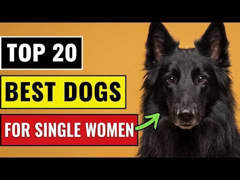 20 Best Dog Breeds For Single Women