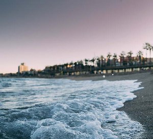 Dreadlocks in Virginia Beach • Installation • Maintenance • Repair