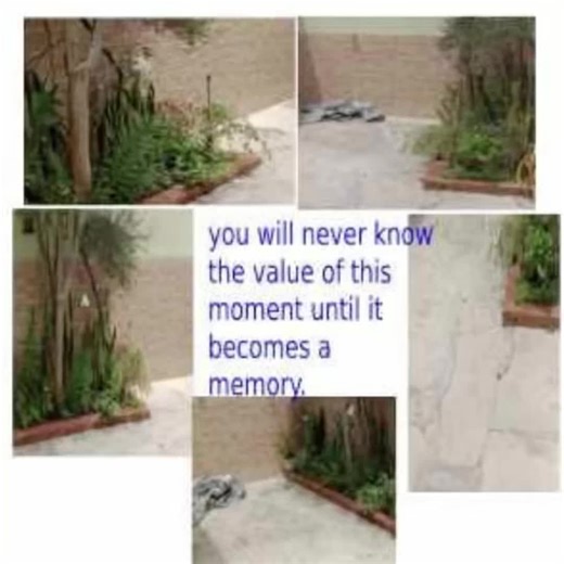 Exploring the Intersection of Dreams and Reality