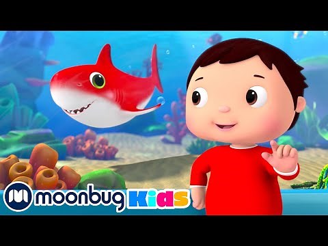 Baby Shark Color Song - Learn Colors | Nursery Rhymes & Kids Songs | Little Baby Bum Songs ABCs 123s