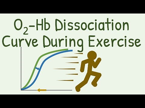 Oxygen Hemoglobin Dissociation Curve during Exercise
